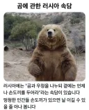 소련 곰 속담