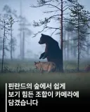 핀란드에서 발견된 보기 드문 조합