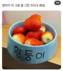 엄마가 이 그릇 좀 그만 쓰라고 화냄