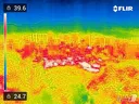 양산 40.7도, 사흘 연속 40도…역대 3번째 연속 '극한폭염'