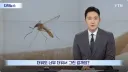 모기 근황.jpg