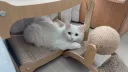 아침부터 좋은걸 보여주지
