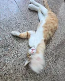우리 편의점 복지 볼래?