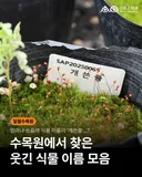 어떻게 식물 이름이 개쓴풀