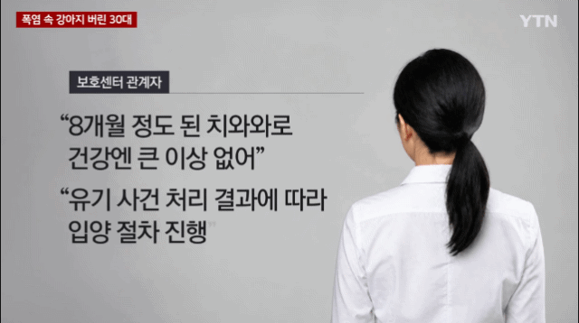 끓는 폭염 속 댕댕이 버린 30대gif