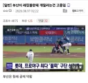 오버워치 햄찌밈 보고있었는데 이건 뭐냐 ㅅㅂ