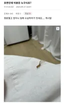 글 하나로 국가기관 어벤져스 시키기.jpg