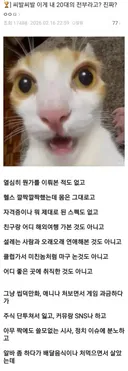 요새 커뮤 특유의 역겨운 댓글 특징