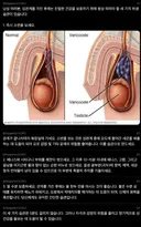 성관계를 가진 후에 해야 하는 건강한 습관.jpg