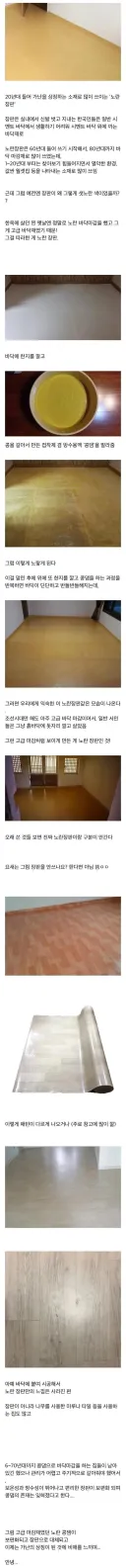 가난의 상징이었던 노란장판의 진실..jp