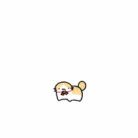 로아) 저번주에 당하고 이번주는 바로 탈주함