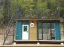 우리동네 당근 근황