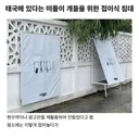 태국에 있다는 떠돌이 강아지 침대