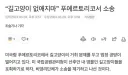 미국) 길고양이 제거 소송에서 캣맘단체 패소