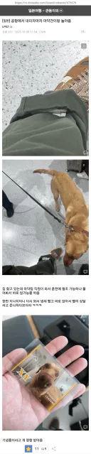 공항에서 ㅁㅇ견 훈련에 협조하면 받는 굿즈.jpg