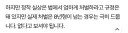 베스트 음주운전건은 판사가 왜 욕 먹는지 모르겠는데