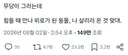 무당이 그러는데 힘들 때 만나 위로가 된 동물, 나 살리러 온 것 맞대