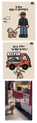앞으로 강이지 산책길 많이 힘들어질 예정