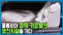 코카인의 왕국 콜롬비아. 펜타닐 제조창 멕시코