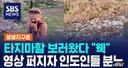 폴란드 여성 관광객에 빡친 인도인들