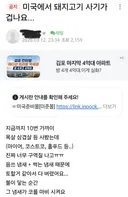 미국산 돼지고기 냄새나요