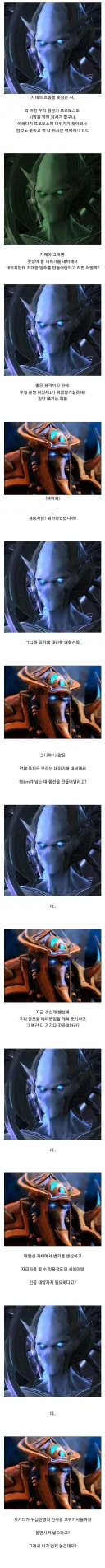 스타) 프로토스의 광기