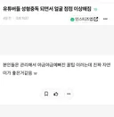 유튜버들 성형중독 되면서 얼굴 점점 이상해짐
