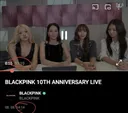 블랙핑크 10주년 급하게 잡은거같단 말 나오는 이유..