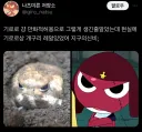 만화적 허용이 아니라 의외로 현실 고증이었던 기로로.jpg