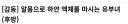 디시 근황