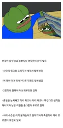 해외 북한 식당에서 한국인 손님을 받지 않게된 계기