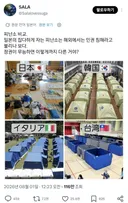 박탈감 든다고 일본인들한테 이슈 중인 나라별 재난대피소.twt