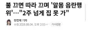 앞집 남성이 맞은편 창문으로 '알몸 음란행위 반복'.....ㄷㄷ