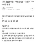 이런 옷 입은 내자신이 너무 느끼한 달글