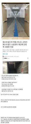 현실판 백룸 사망사건