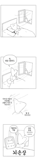 요즘 유행하는 날씨 근황 짤 후기 .jpg
