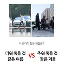 더워 죽을것 같은 여름 VS 추워 죽을거 같은 겨울