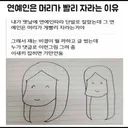 연예인은 머리가 빨리 자라는 이유