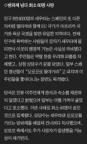스페인으로 불법 월경후 떼거지로 상점 약탈등 난동 피우는 모로코 이민자들