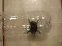 운동나갔다가 시원해서 기분 개좋았음 ㅎㅎ