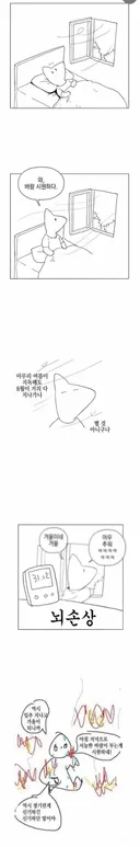 와 오늘 진짜 날씨 좋다 바람 시원~하고 청량 역시 입추 매직은 신기하네