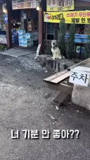 개 이름을 재명‘이라고 짓고 이름표까지 달아놓은 편의점