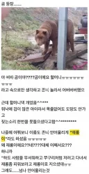 할머니 집에서 만난 곰