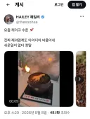 요즘 효도 케이크 퀄리티 근황.gif