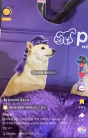 충격적인 케데헌 공식 굿즈 숫자.jpg