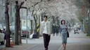 오디세이 보다: 사랑..오디세이에 사랑은없음. 전쟁광들..
