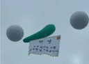 맥도날드의 거대한 고추