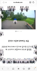 드디어 밝혀진 루리웹 사이버 초파리의 정체