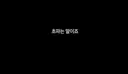 구조견 임보하다가 입양한 손태영💚권상우 부부