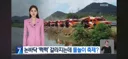 밀양 물축제